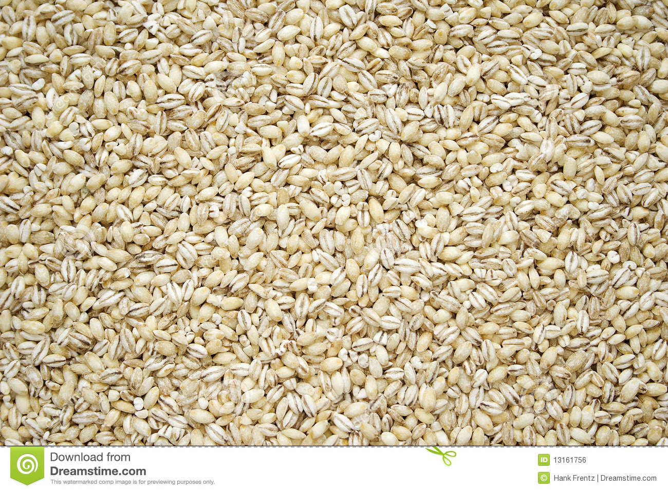 Dried Pearl Barley Royalty Free Stock Image   Image  13161756