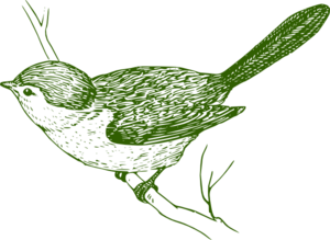 Green Bird On Branch Clip Art   Animal   Download Vector Clip Art