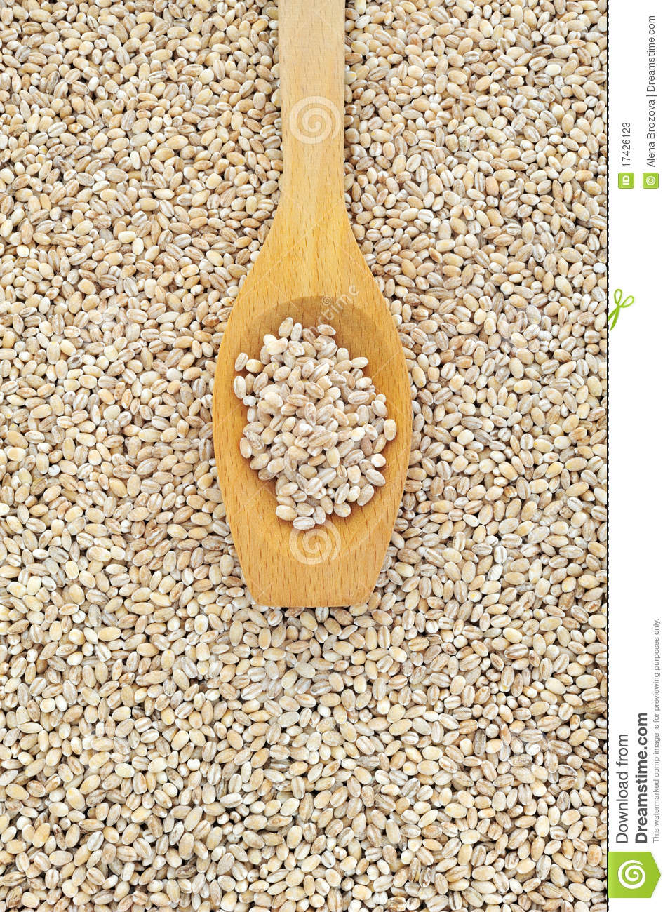 Wooden Spoon And Dried Pearled Barley Stock Photos   Image  17426123