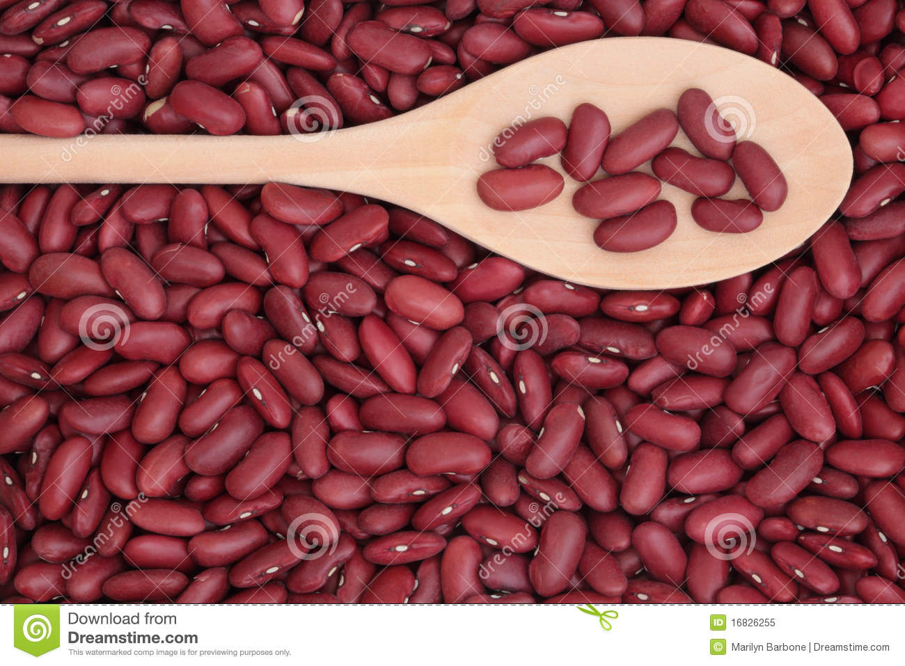Can Of Beans Clipart Displaying 19 Images For Can Of Beans Clipart