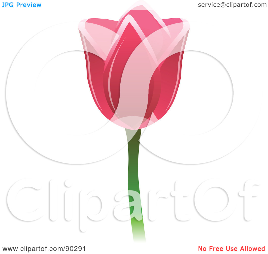 Free  Rf  Clipart Illustration Of A Beautiful Pink Spring Tulip Flower