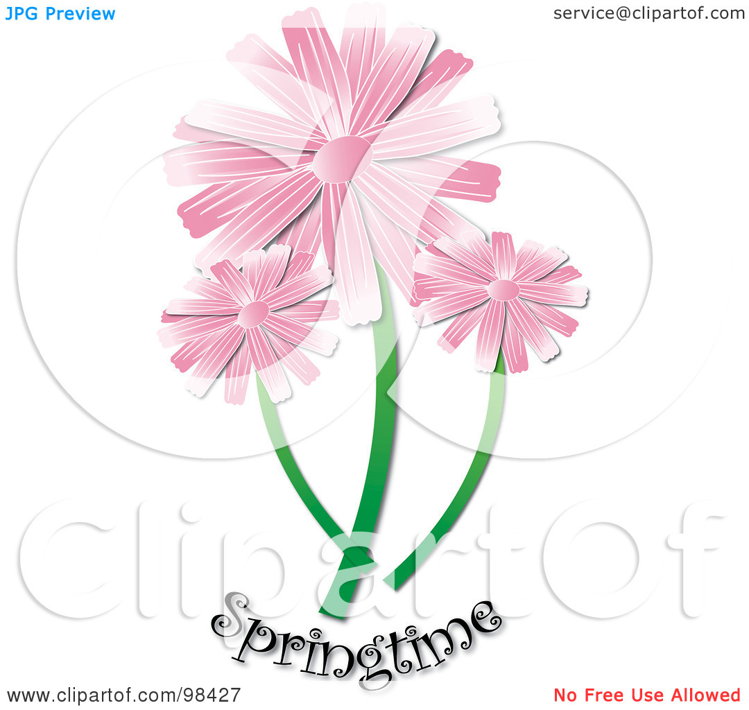 Free  Rf  Clipart Illustration Of Three Pink Daisies Over Springtime