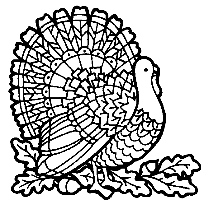Thanksgiving Turkey Coloring Pictures  Free Print And Color Your    