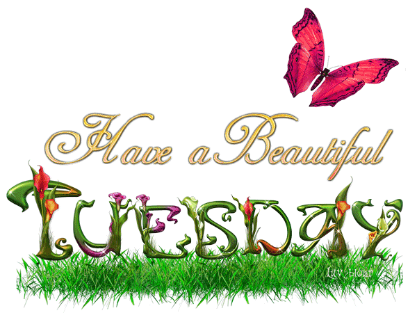 Tuesday Tagged Comments Tuesday Tagged Graphics   Glitters