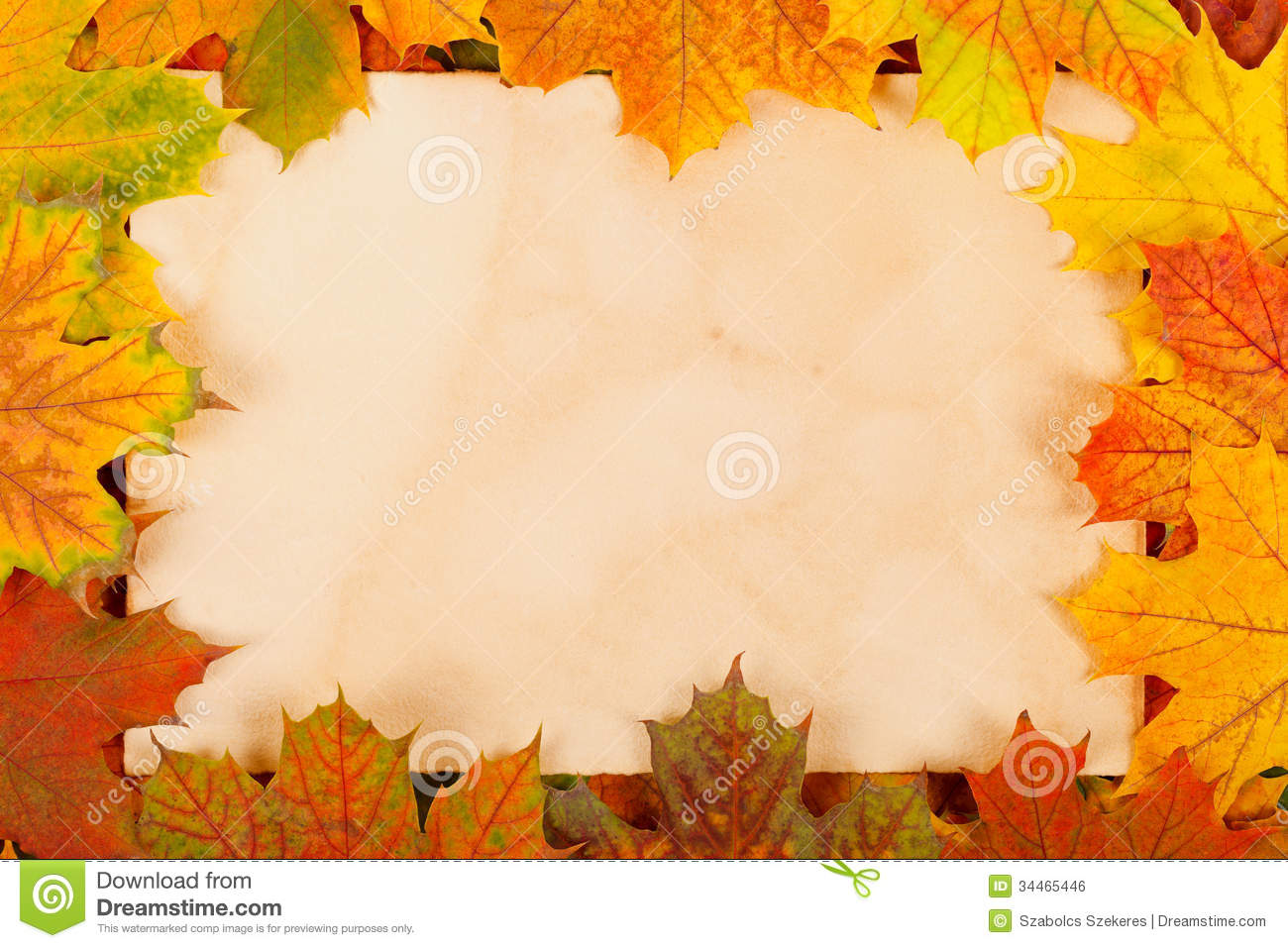 Autumn Leaves As Border Royalty Free Stock Image   Image  34465446