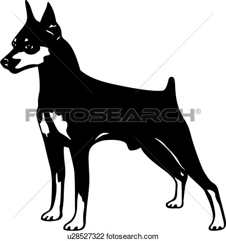 Canine Dog Miniature Pinscher Show Dog View Large Clip Art Graphic