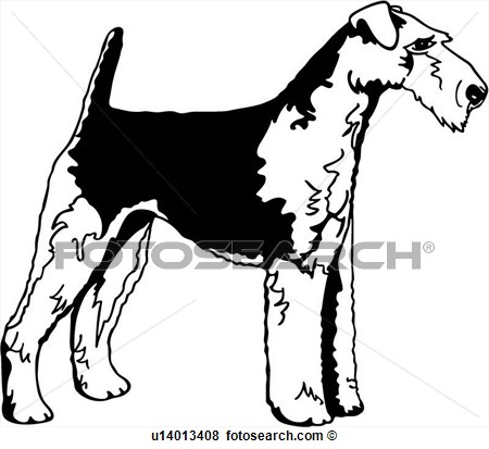 Clip Art Of  Airdale Terriewr Animal Breeds Canine Dog Show Dog