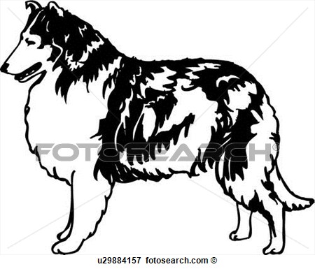 Clip Art Of  Animal Breeds Canine Collie Dog Show Dog U29884157