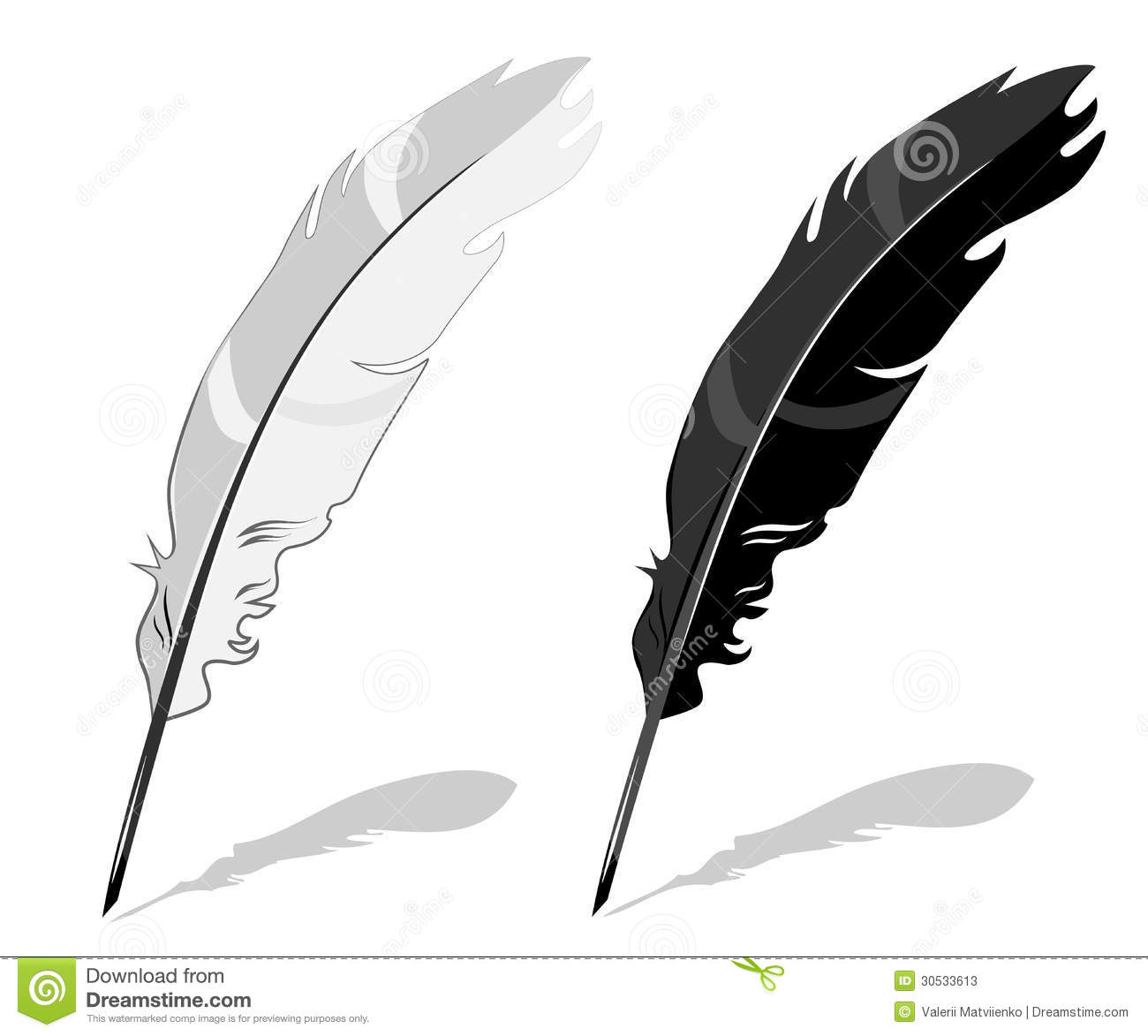 Feather Pen Black And White Stock Photos   Image  30533613