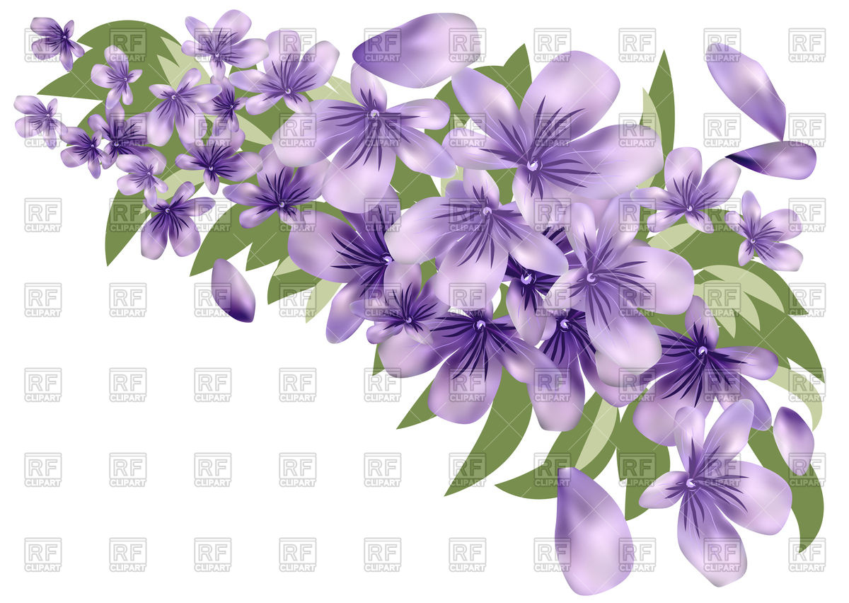 Lavender Flower With Leaves 100033 Download Royalty Free Vector    