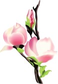 Magnolia Flower Clip Art   Clipart Panda   Free Clipart Images
