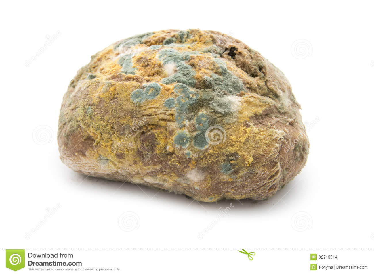 Moldy Bread Stock Images   Image  32713514