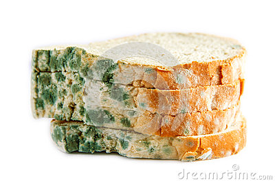 Moldy Bread Stock Photo   Image  49224864