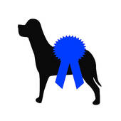 Show Dog Clipart Royalty Free  779 Show Dog Clip Art Vector Eps