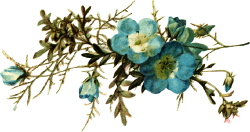 Antique Clipart  Blue Flower Bouquet 