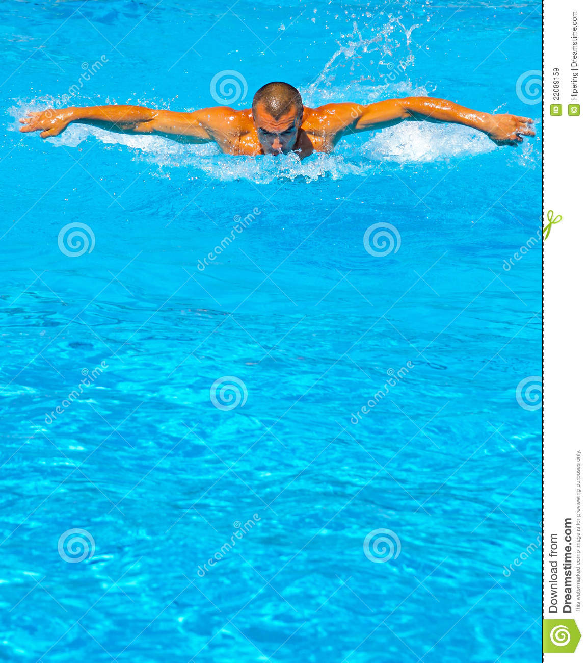 Butterfly Swimmer Royalty Free Stock Images   Image  22089159