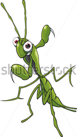 Cartoon Praying Mantis Cartoon Praying