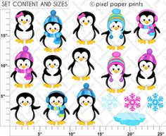 Clip Art And Digital Paper Set Penguins By Pixelpaperprints   Via    