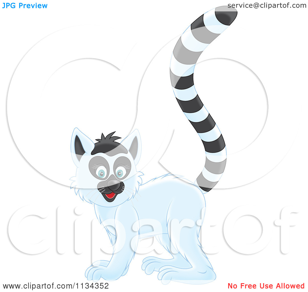 Clipart Cute Lemur Sitting And Gesturing Royalty Free Vector
