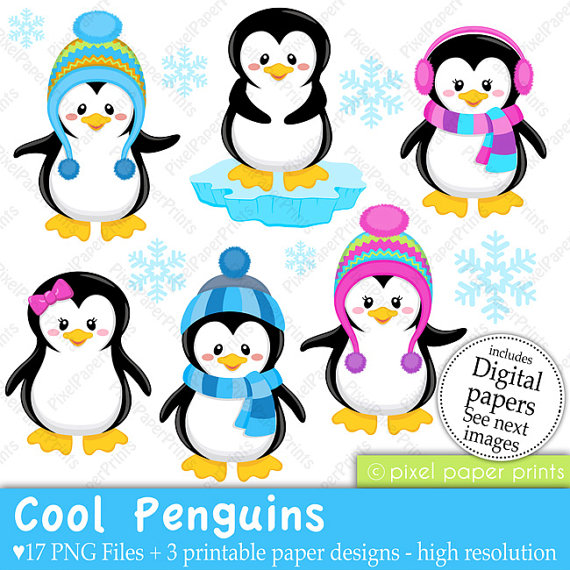 Cool Penguins   Clip Art And Digital Paper Set   Penguin Clipart
