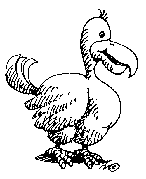 Dodo Bird  German Illustration Of Der Dronte The Dodo  1890 By The
