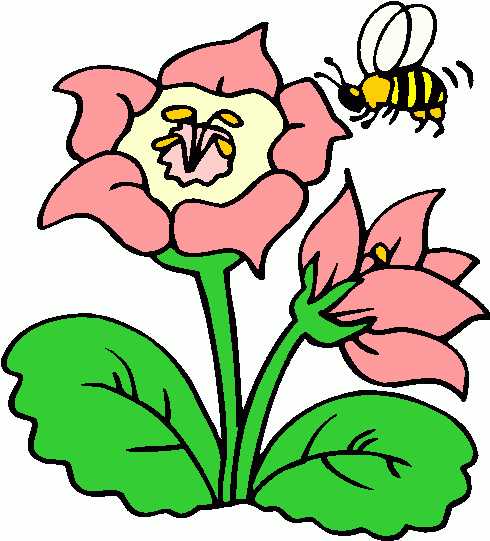 Flowers And Bees Clipart Image Gallery