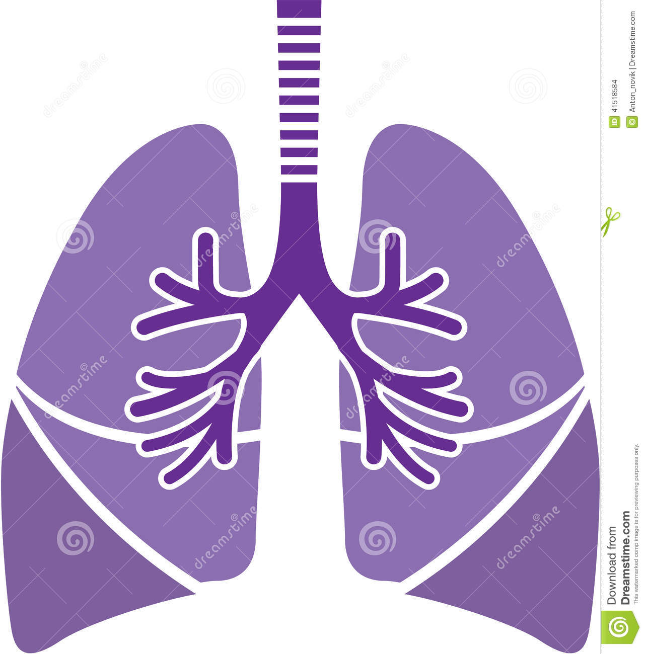 Healthy Lungs Vector Illustration Clip Art Eps