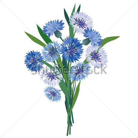 Home   Premium   Natura   Bouquet Di Fiori  Fiordaliso Blu Di    