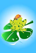 Lily Pads Illustrations And Clipart