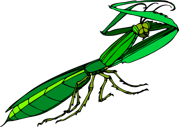 Mantis Clipart