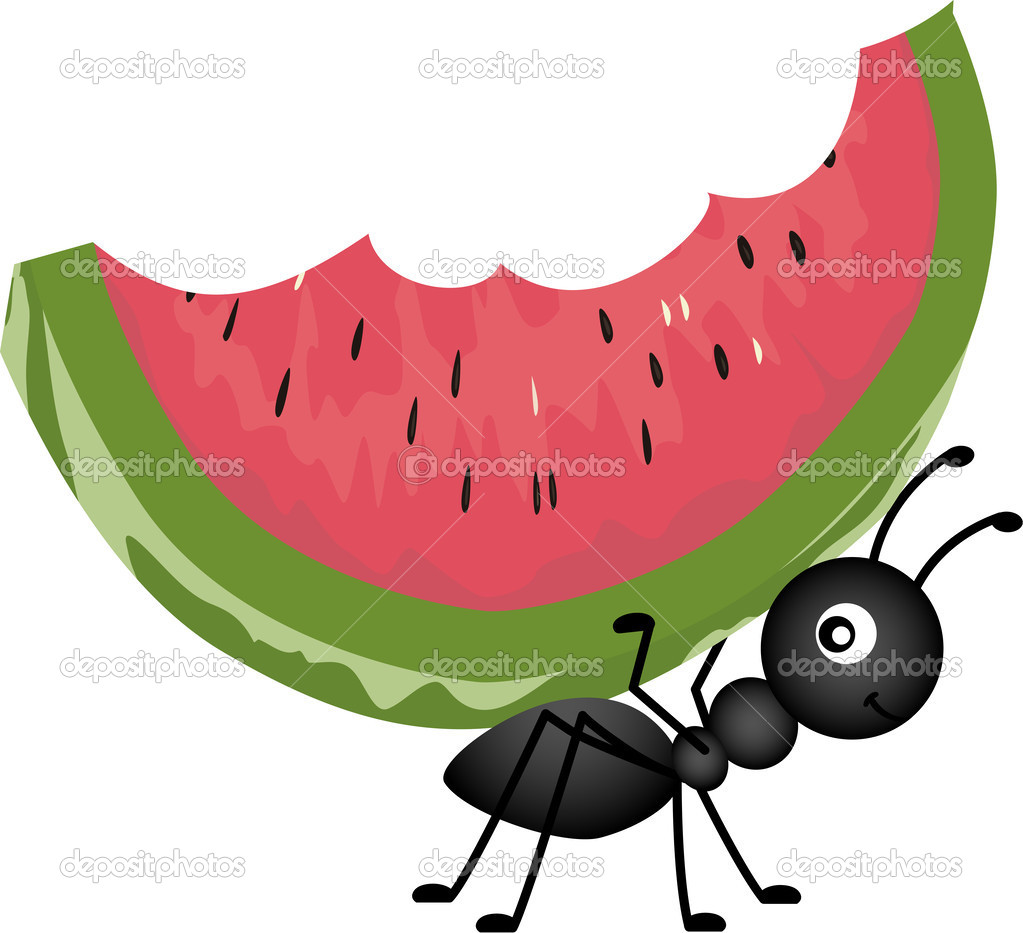 Picnic Ant Clip Art Ant Carrying Watermelon