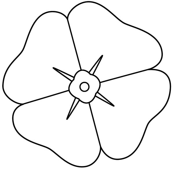 How To Draw A Poppy Free Cliparts That You Can Download To You