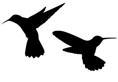 Hummingbird Silhouette Vectorvector Silhouettes Silhouettes Vector