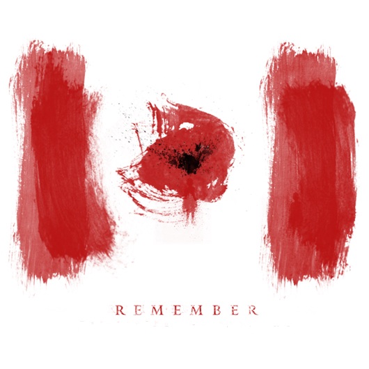 The Tuesday 12  12 Remarkable Remembrance Day Resources  November 11