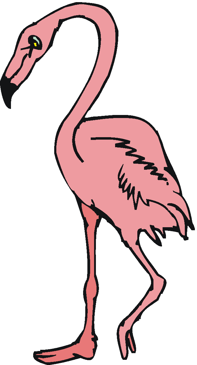 There Is 50 Pink Flamingo Free Cliparts All Used For Free