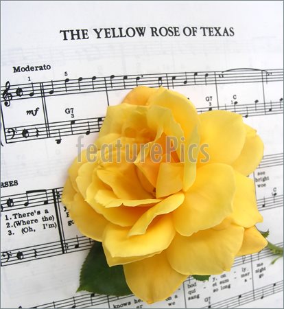 Yellow Rose Of Texas    A Yellow Rose On The Music Yellow Rose Of