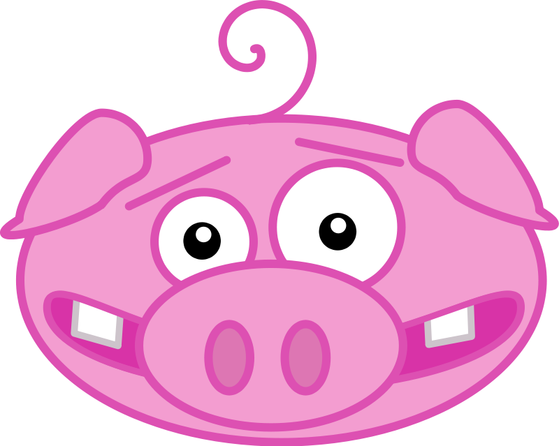 Cartoon Pig Face Cartoon Pig Face Cartoon Pig Face Cartoon Pig Head