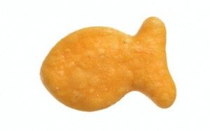 Clipart Goldfish Crackers Worst Crackers To Consume