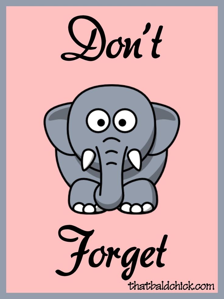Elephant Clipart Don T Forget   Teaching Relevant   Pinterest