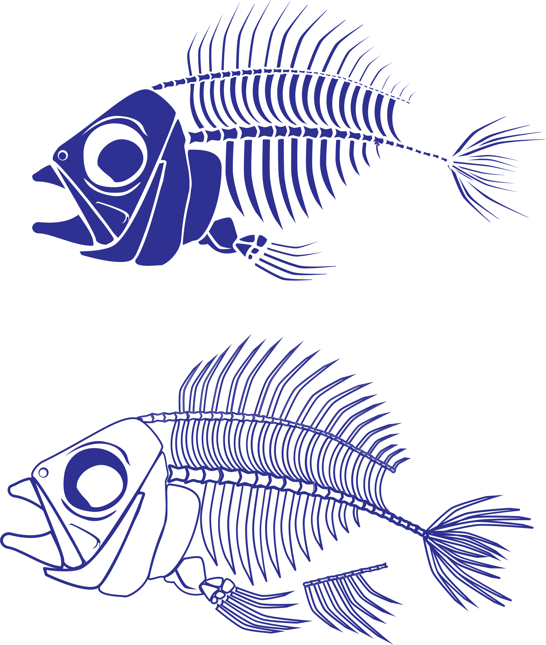 Fish Skeleton By Chromarush