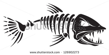 Fish Skeleton   Stock Vector