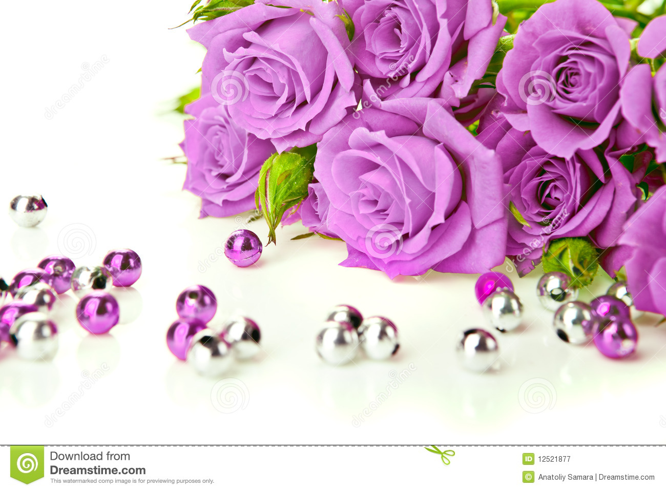 Purple Roses And Beads Royalty Free Stock Photography   Image    