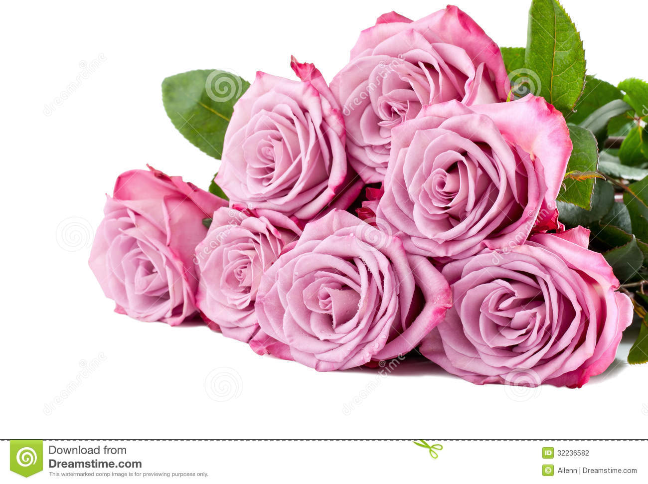 Stock Photography  Purple Roses Bouquet On A White Background
