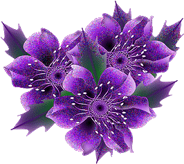 The Best Purple Flowers For Your Garden Dark Purple Flowers Purple    