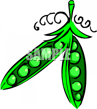 Vegetable Clip Art Image  Green Snap Peas