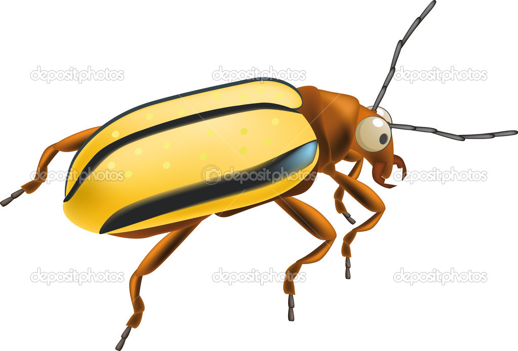 Bugs Insects   Free Vector Download