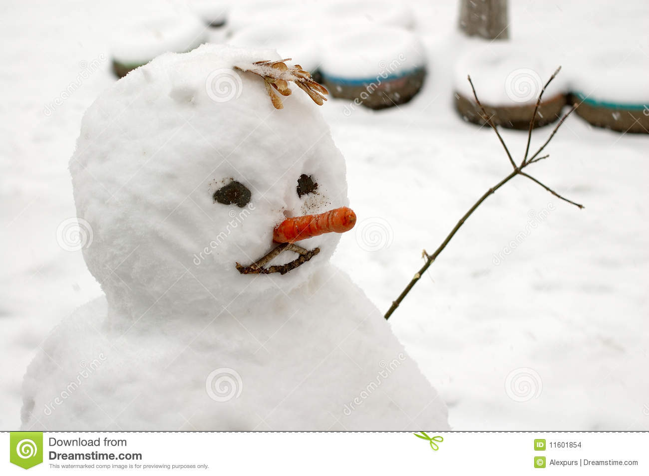 Funny Snowman With Carrot Nose  Stock Images   Image  11601854