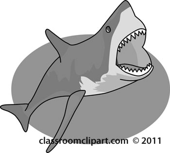 Gray And White Clipart  Shark 04b Gray Open Mouth   Classroom Clipart