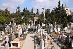 Milan Grave Stock Photos   Images