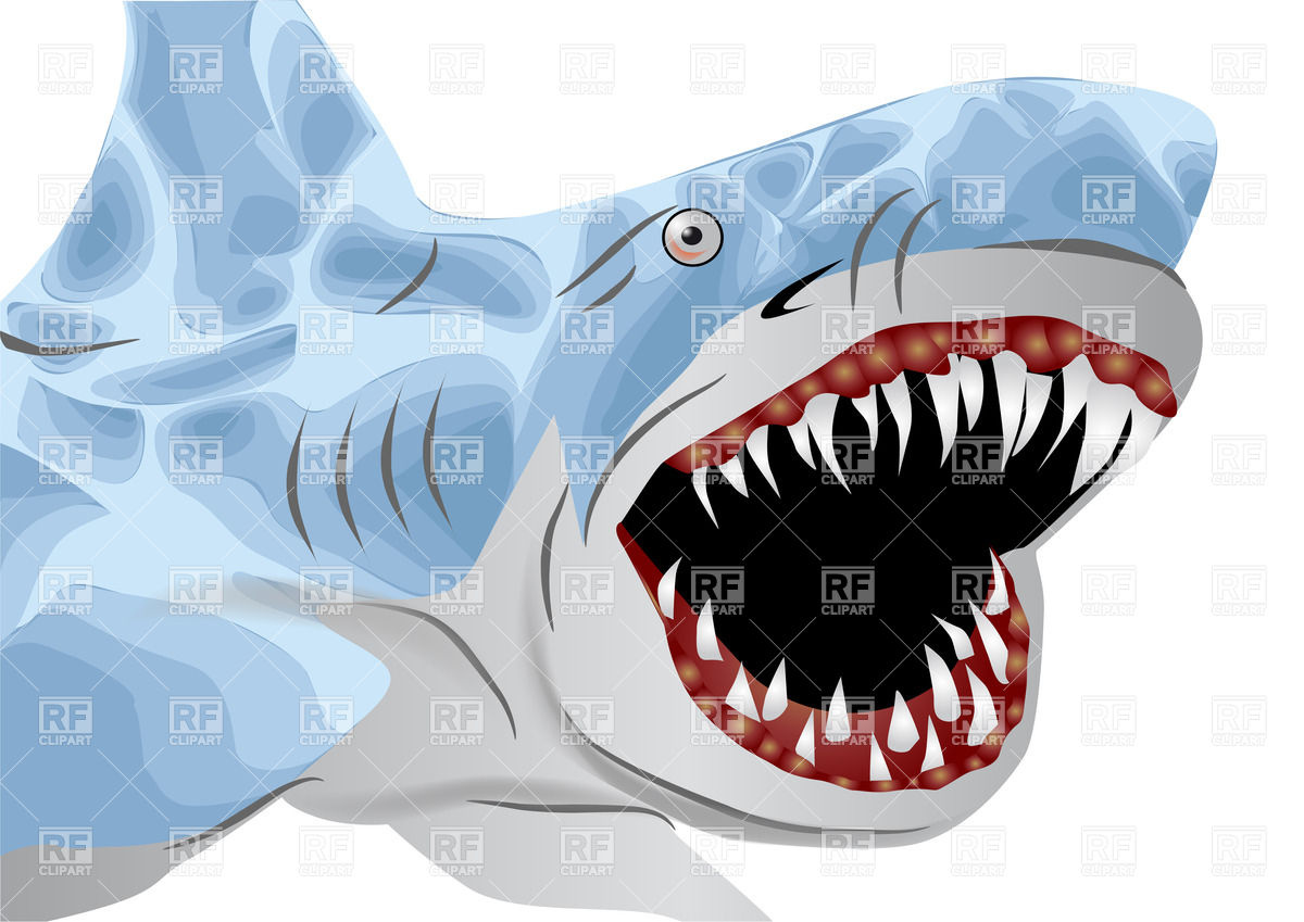     Shark With Open Mouth Download Royalty Free Vector Clipart  Eps